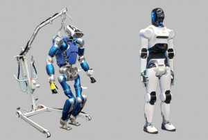 Two types of humanois robots